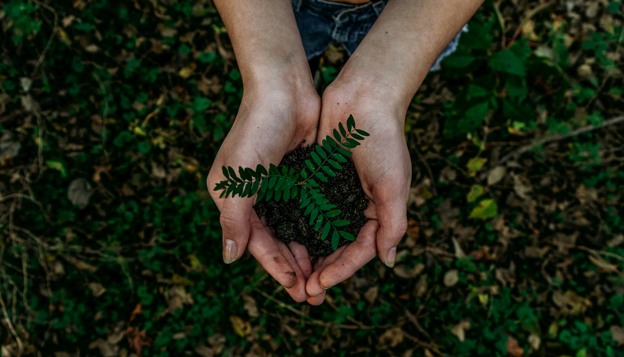 ESG und Nachhaltigkeit Stakeholderdialog Nachhaltigkeitsberichterstattung CSRD-Reporting